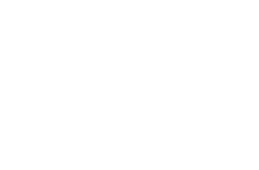 UNIQUE PIECE HOLDINGS